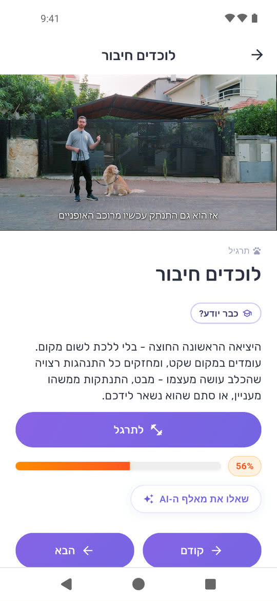 שיעור באפליקציה: לוכדים חיבור